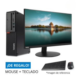 Combo Lenovo ThinkCentre M715s SFF (A12-9800, 7ª Gen, 12gb DDR4, 128gb SSD) + Monitor 24″ Lenovo ThinkVision T24i-10 – Versión A